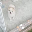 원미용실 이미지