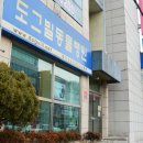 도그빌동물병원 이미지