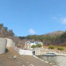 서종공인중개사사무소 Daum카페