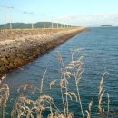 거금주유소 이미지