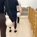 체형교정발레 | 신당동 발레필라테스 추천, 다이어트와 체형교정에 좋은 바레 클래스! 발레 필라테스 후기