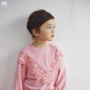모모앤 Daum카페