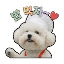 대림각찐짬뽕