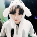 카스타그램 이미지
