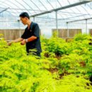 종로-종로-종로-종-253 이미지