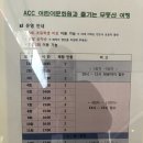 미니어처 AR 랠리 < 마블러스 아시아 > | 봄나들이 추천! 미세먼지 걱정 노! 광주 아시아문화전당에서 무등산도 오르고 RC카 체험도 하고 (시간표...