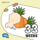 ㈜호호클린주유소 | 𝗕-𝟭𝟱 임신일기 | 33w-35w 증상, 분당제일조리원 2차산전마사지, 아기용품 (잼잼오프 슬립필터 설치...