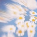 하늘과일 - 중구 하늘중앙로 193 | 하늘과일