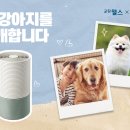 웰스 이미지