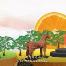 신효동 하귤나무 이미지