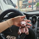 파츠몽