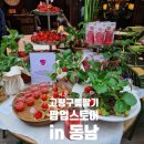 고령구름딸기 팝업스토어 in 동남 서촌 방문 후기