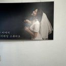 와이테일 이미지