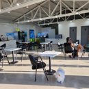 포메리카노 이미지