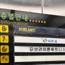대전 봉명동 헬스장 브라이튼휘트니스 유성점 후기
