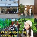 첨단과기로208번길1R | 광주 아이랑 실내 체험, 흙놀이, 쿠킹클래스까지 가능한 고마워토토 광주점 예약, 주차, 내돈내산 후기