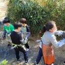 산월초교 이미지