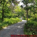 팔룡동566 이미지