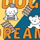 부산 강아지 24시 애견미용호텔유치원 도그드림(서면점) 이미지