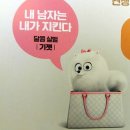 엘리팝스 | [시사회리뷰] 마이펫의 이중생활 후기입니다
