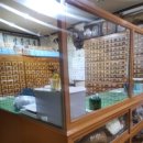 아산온양1동우편취급국 이미지