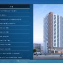 스테이 호은 이미지