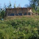 태평여자 이미지