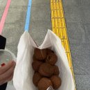 포항유니수산 | [26년 여름휴가] 경주 2박3일