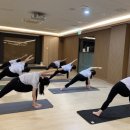 수원요가지도자자격증 영통요가지도자과정/ 경희 국제요가지도자자격증 .시작부터 실전까지(with 후기)