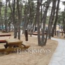 보령머드멀티랜드마크 이미지
