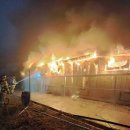 양계장닭한마리 이미지