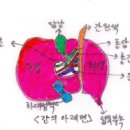 레스토 이미지