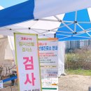 화도보건진료소 | 남양주 임시선별진료소 인 제2청사 임시선별검사소 코로나검사 후기