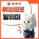 주식회사 비엔디 네이버블로그