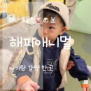 광풍로 | 아산 천안 아기랑 해피애니멀 다녀온 내돈내산 후기