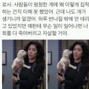 늘봄날 이미지
