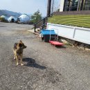 충북 제천 청풍호뷰 마린힐캠핑장 후기(+개별 화장실, 개별 싱크대)