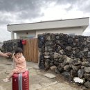 시고르하우스 이미지