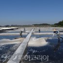 (주)동인천서비스 이미지