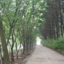 칼봉산휴양림펜션 이미지