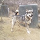 박춘식농장 이미지