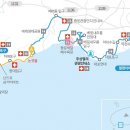 제주 올레길 8코스 이미지