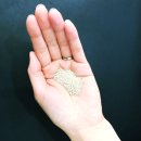 선제한의원 이미지