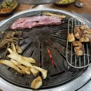 내가키운도야지