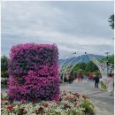 곡성-141 이미지