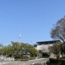 돌산공원 내 도로 | 여수 돌산공원 벚꽃 실시간 (2025.04.10) : 여수 바다가 한 눈에 보이는 경치 맛집