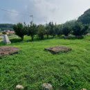 양덕리고인돌 이미지