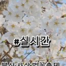 낙동제방길-1 이미지