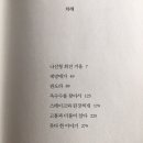 오늘을 사는 여성을 향한 위로 : 안젤라 ㅣ 안이희옥