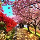 완산-131 이미지